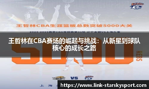 王哲林在CBA赛场的崛起与挑战：从新星到球队核心的成长之路
